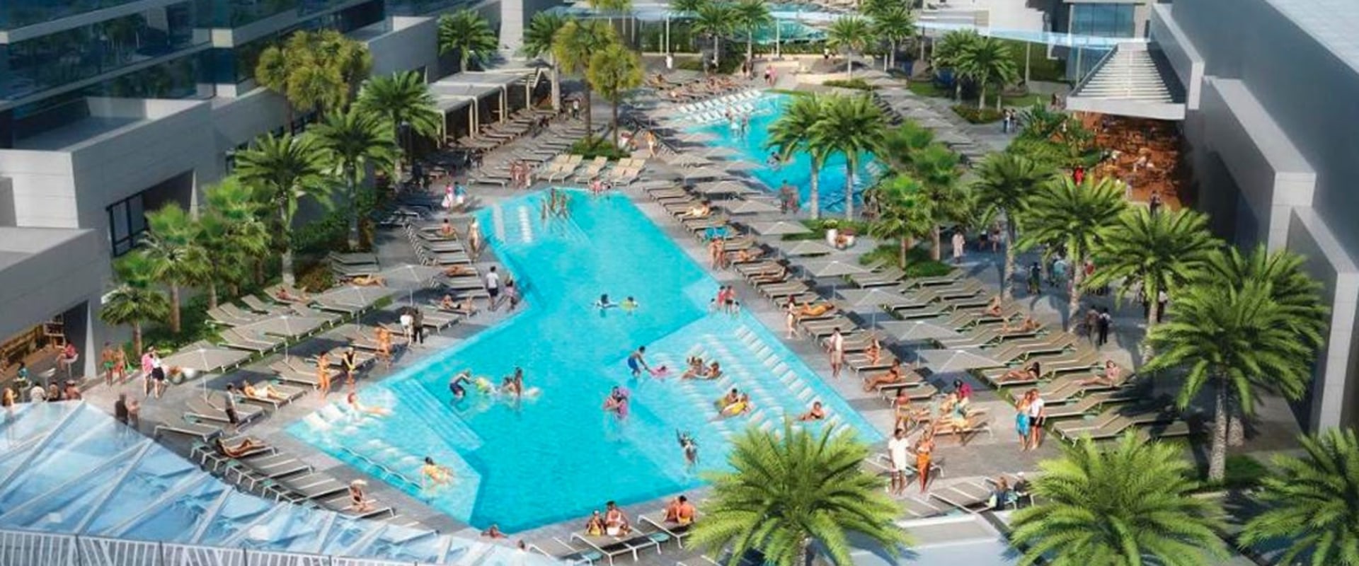 Experience the Best Hotels and Resorts in Tampa, Florida
